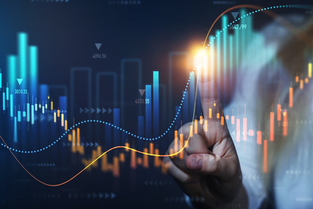 主なサポート内容