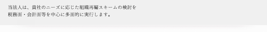 当法人は、貴社のニーズに応じた組織再編スキームの検討を税務面・会計面等を中心に多面的に実行します。